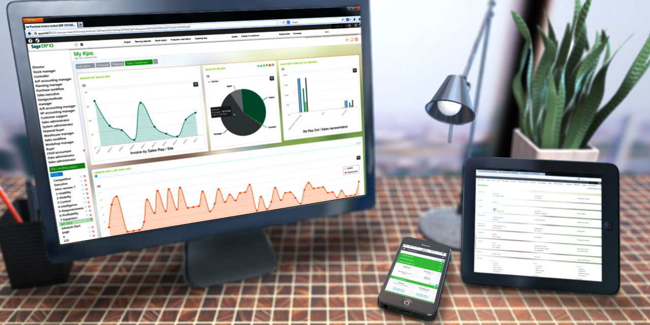 ¿Hay evolución en los ERP?